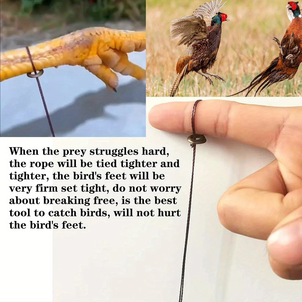 Trampa profesional para aves: pollos,  perdices y ánades, faisanes, patos salvajes,